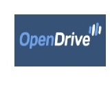 Open Drive